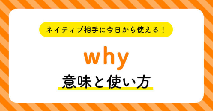 ネイティブ相手に今日から使える!whyの意味と使い方 | ペラペラ部